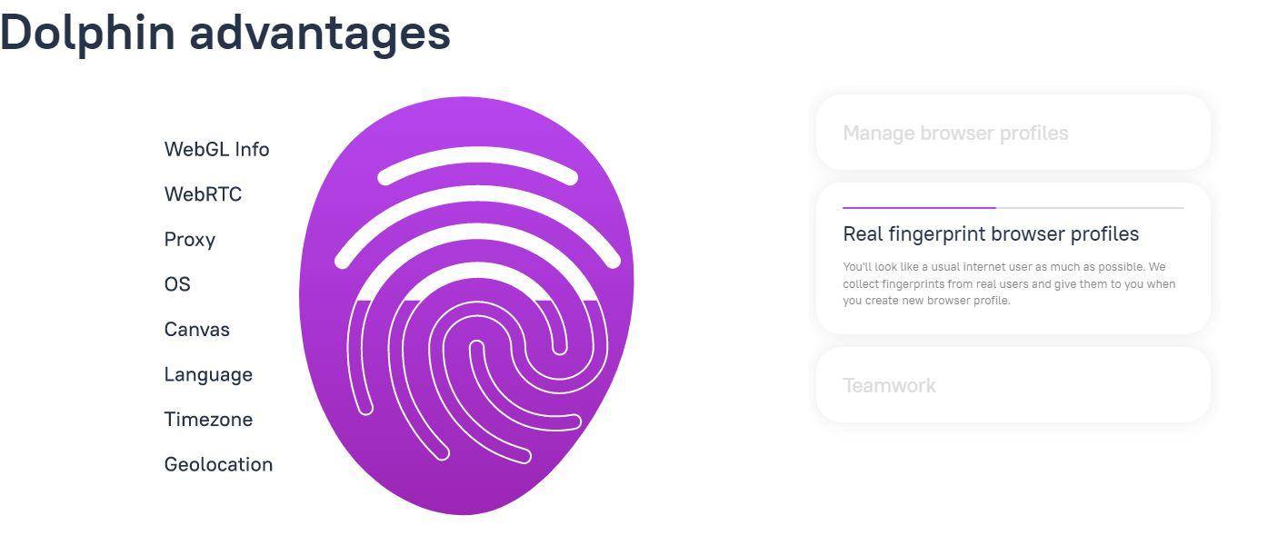 Dolphin Anty advantages