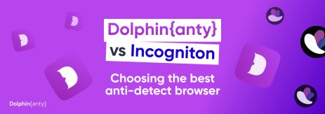 Dolphin Anty vs Incogniton