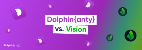Dolphin Anty vs Vision
