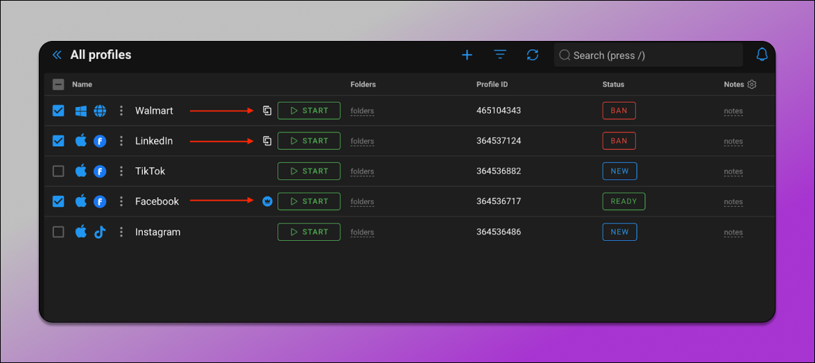 Account Types in Dolphin Anty