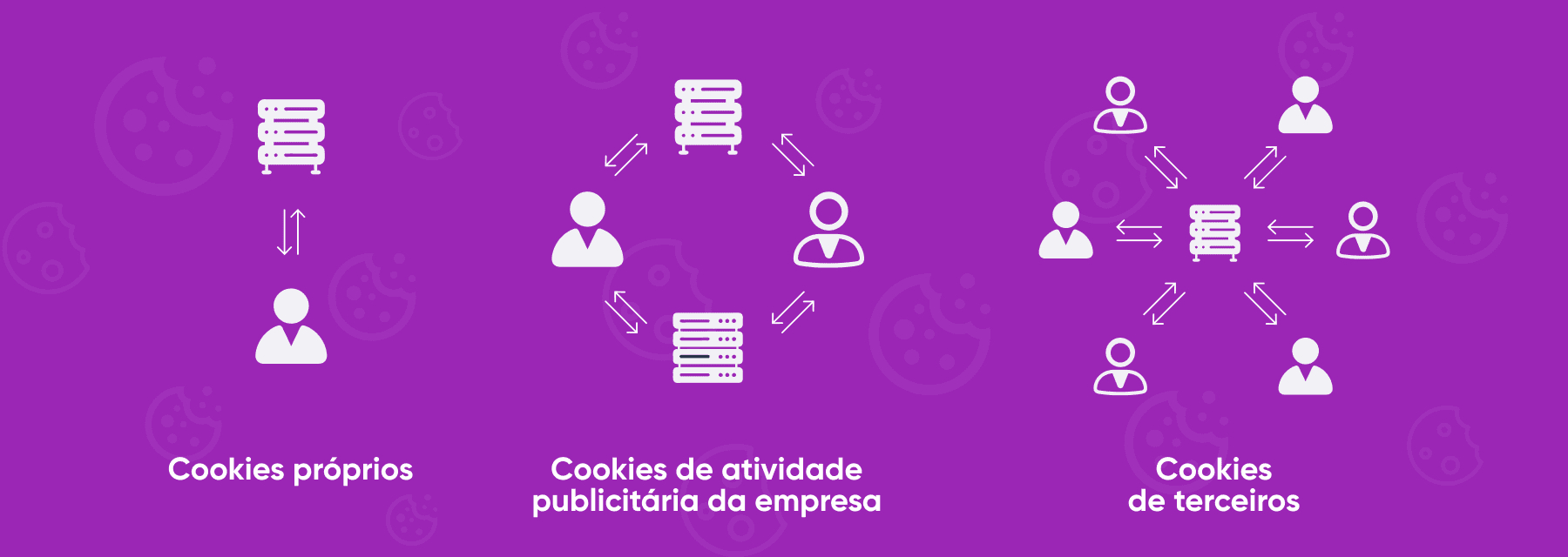 Tipos Cookie Dolphin Anty