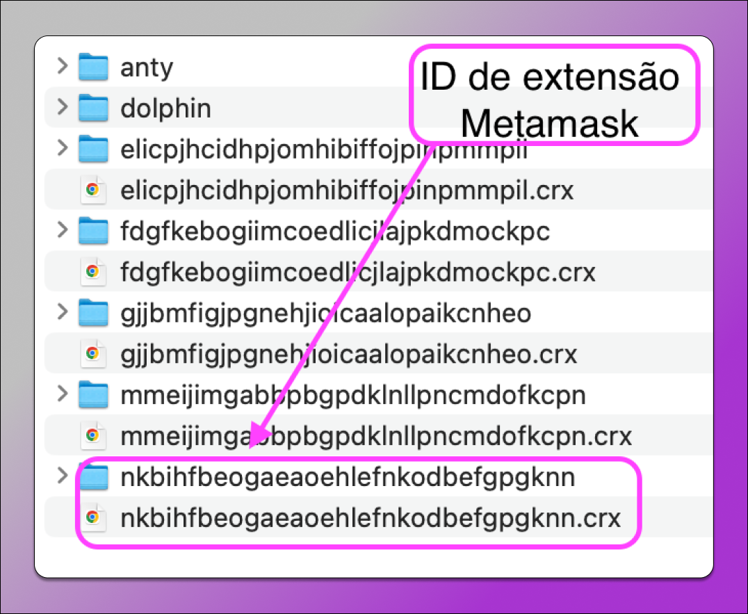 Pasta de Extensões Dolphin Anty