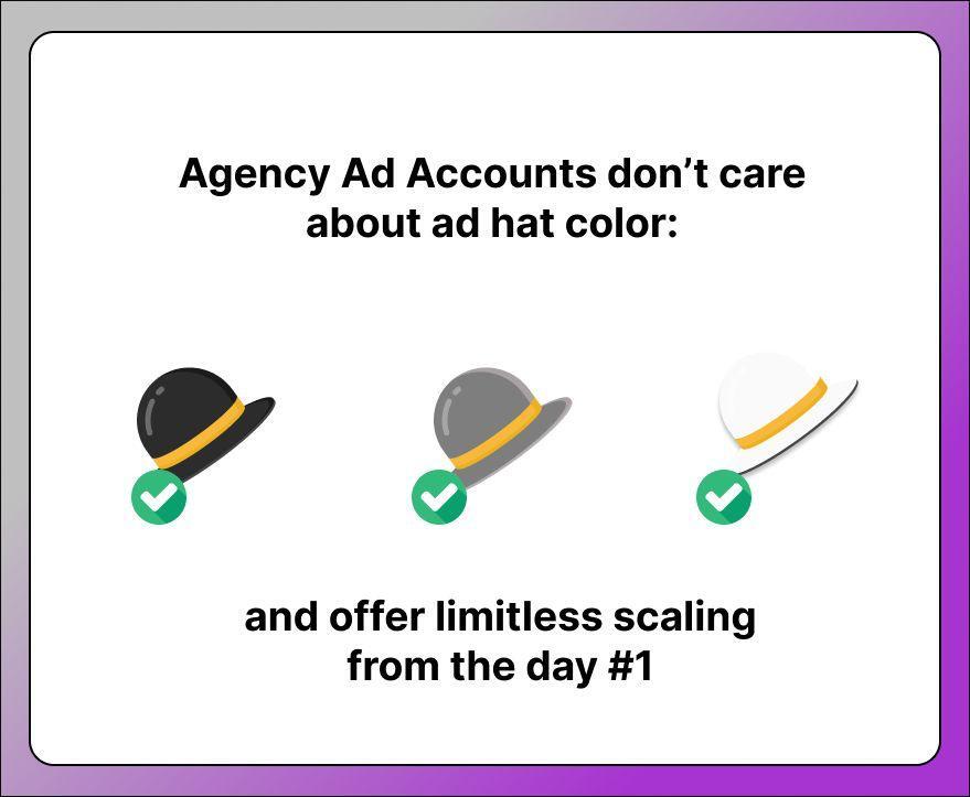 Ad Hat Color Dolphin Anty
