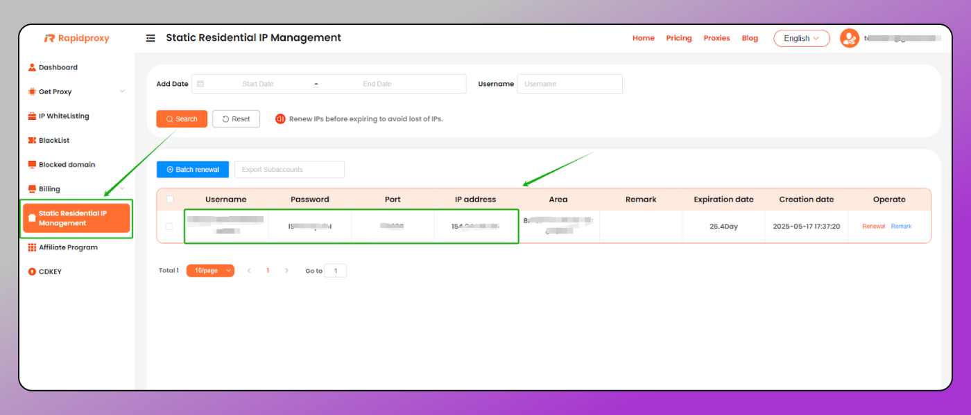 RapidProxy Static proxies Dolphin Anty