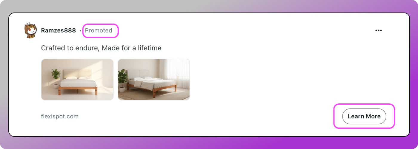 Sofa Reddit Dolphin Anty