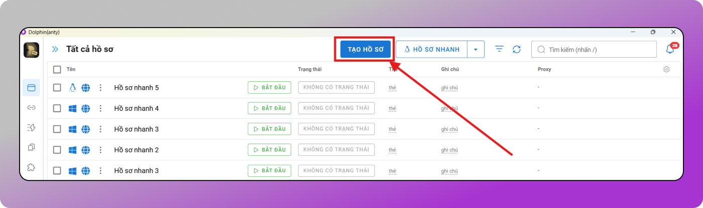 New Profile Dolphin Anty