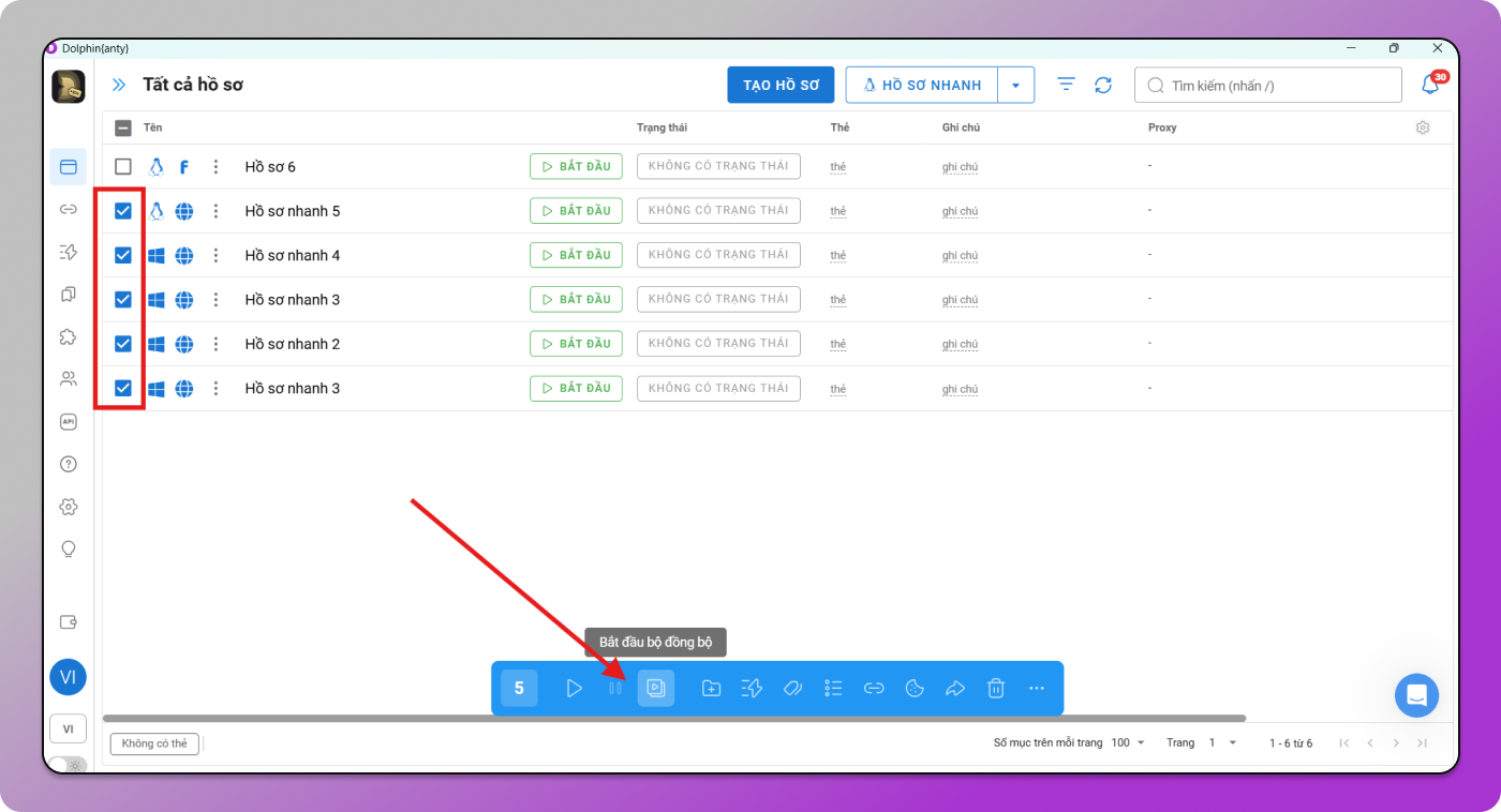 Synchronyzer Dolphin Anty