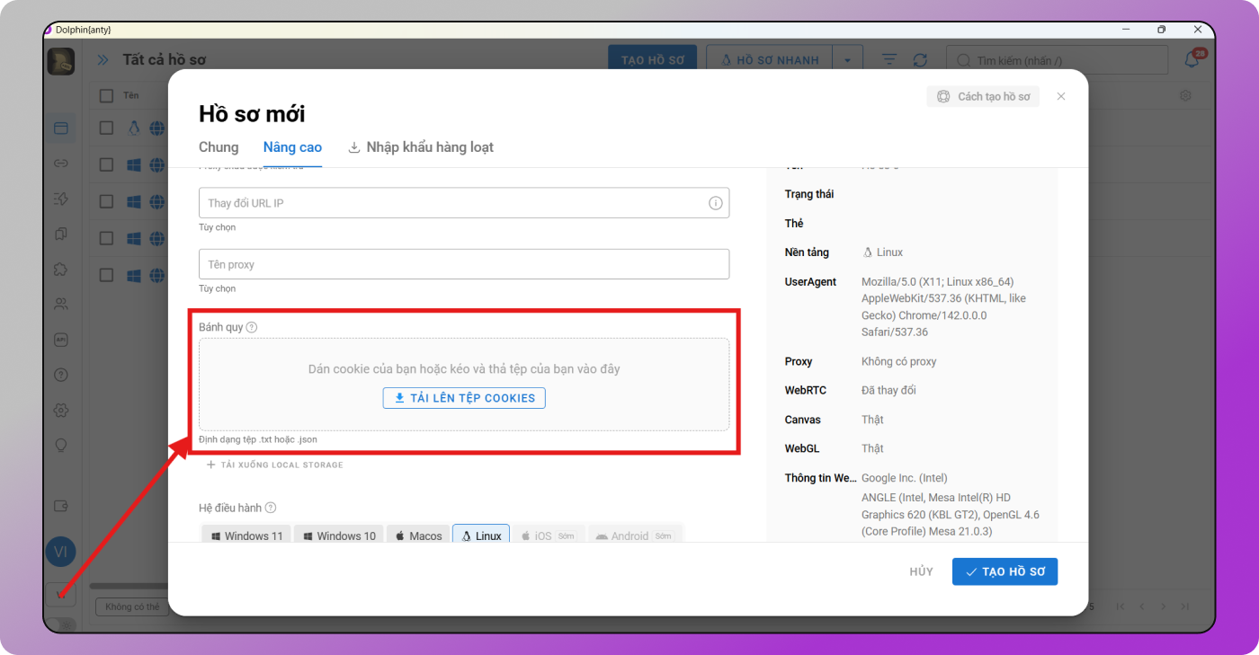 Cookies Dolphin Anty