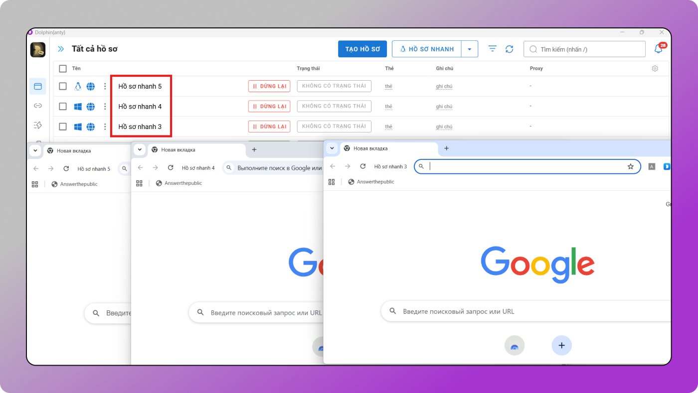 Multiple Accounts Dolphin Anty