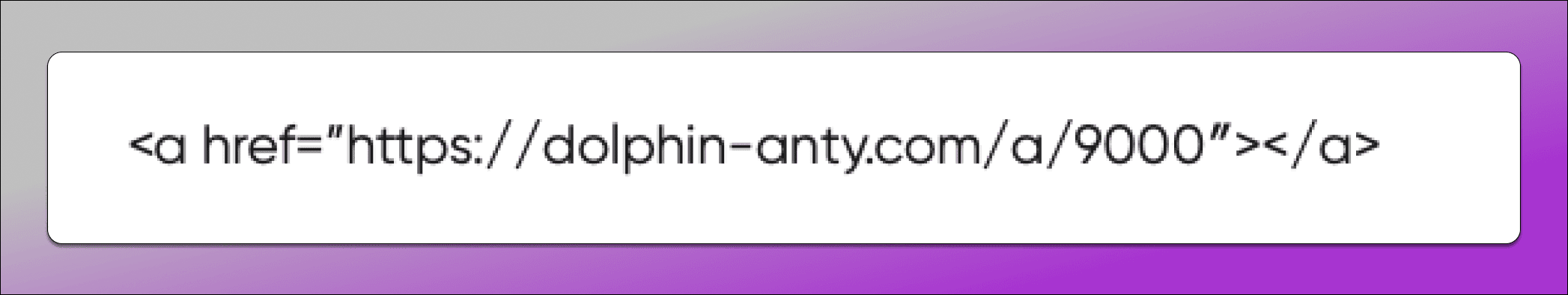 AccsMarketHub Tutorials Dolphin Anty