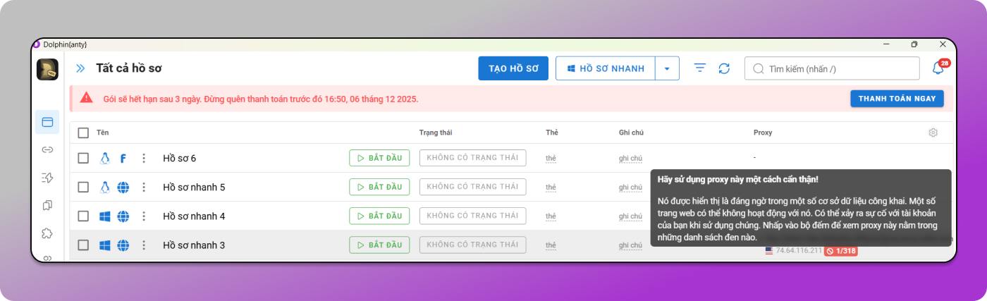 Interface Dolphin Anty