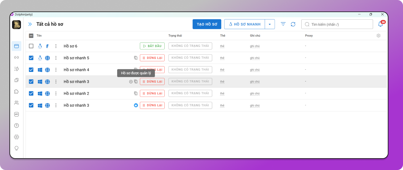 Interface Dolphin Anty