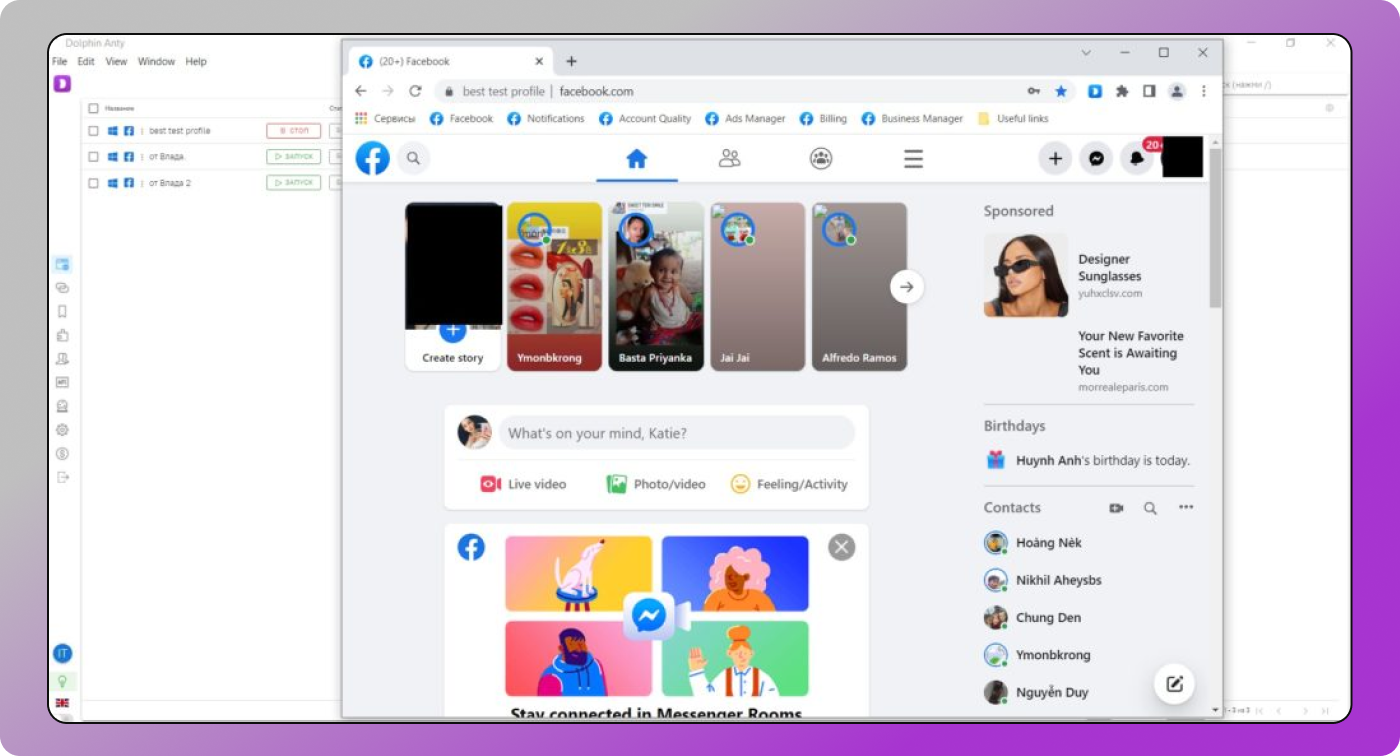 Profile Dolphin Anty