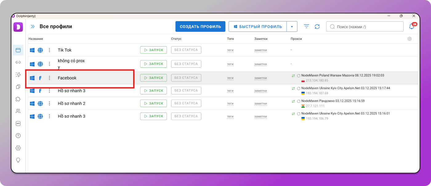 Profiles Dolphin Anty