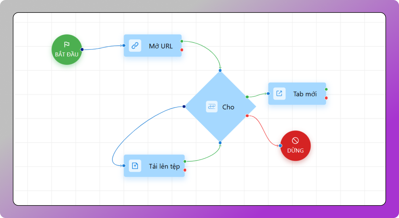 Scenario on the Map Dolphin Anty