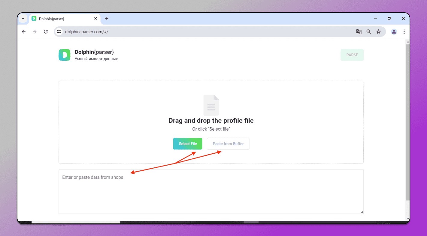 Parser Interface Dolphin Anty
