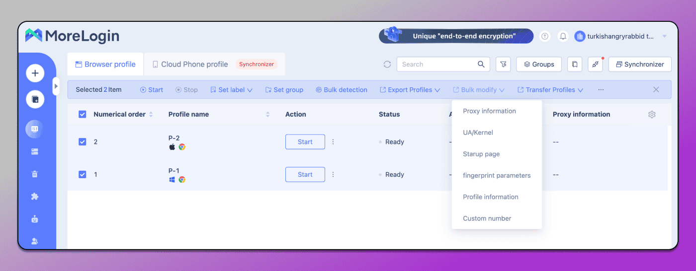 Bulk management MoreLogin Dolphin Anty