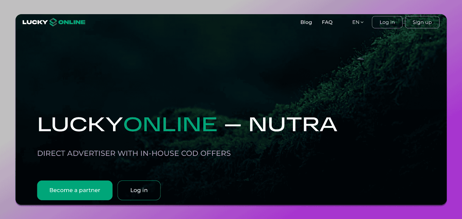 LuckyOnline Dolphin Anty