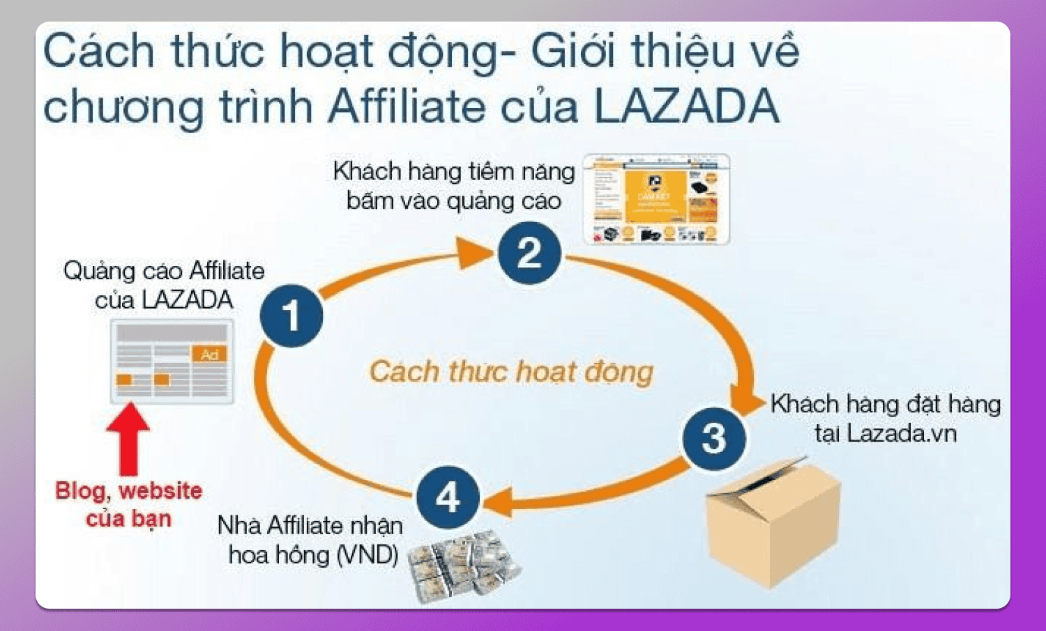 Affiliate Marketing Dolphin Anty