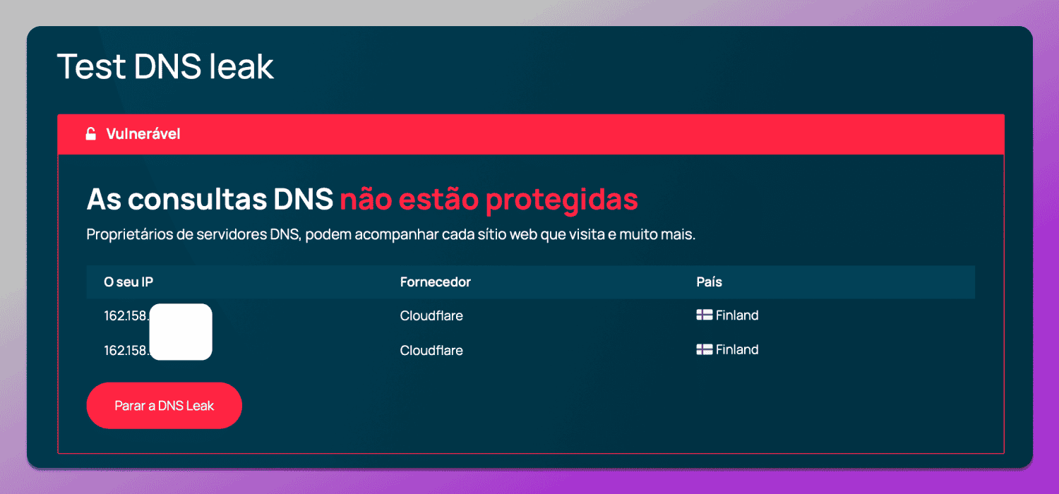 DNS Test Dolphin Anty