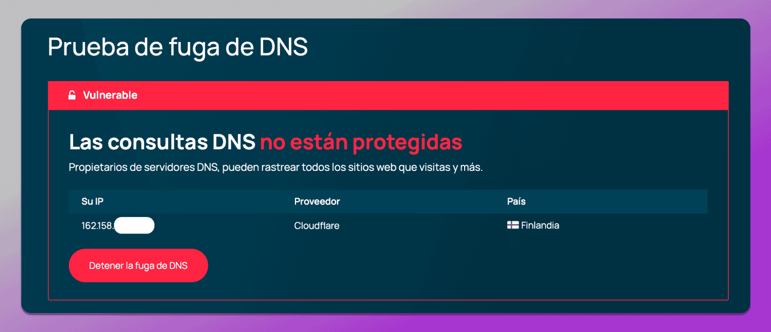 DNS Test Dolphin Anty