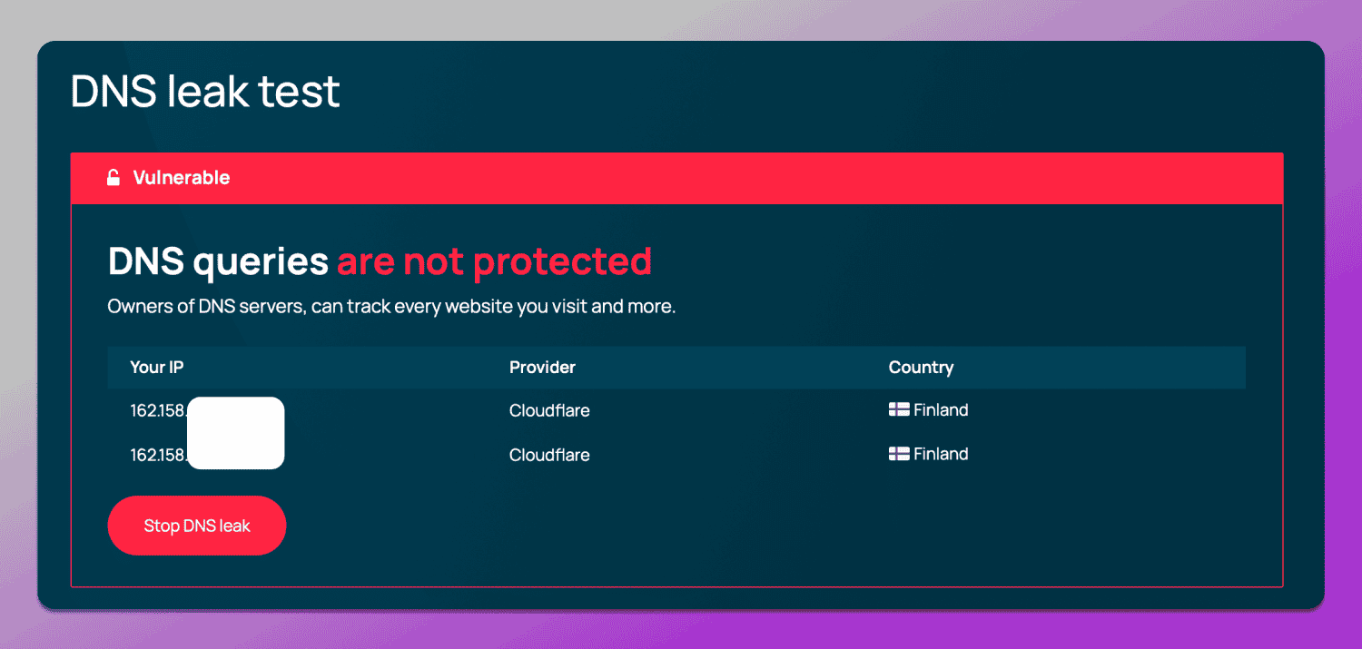 DNS Test Dolphin Anty