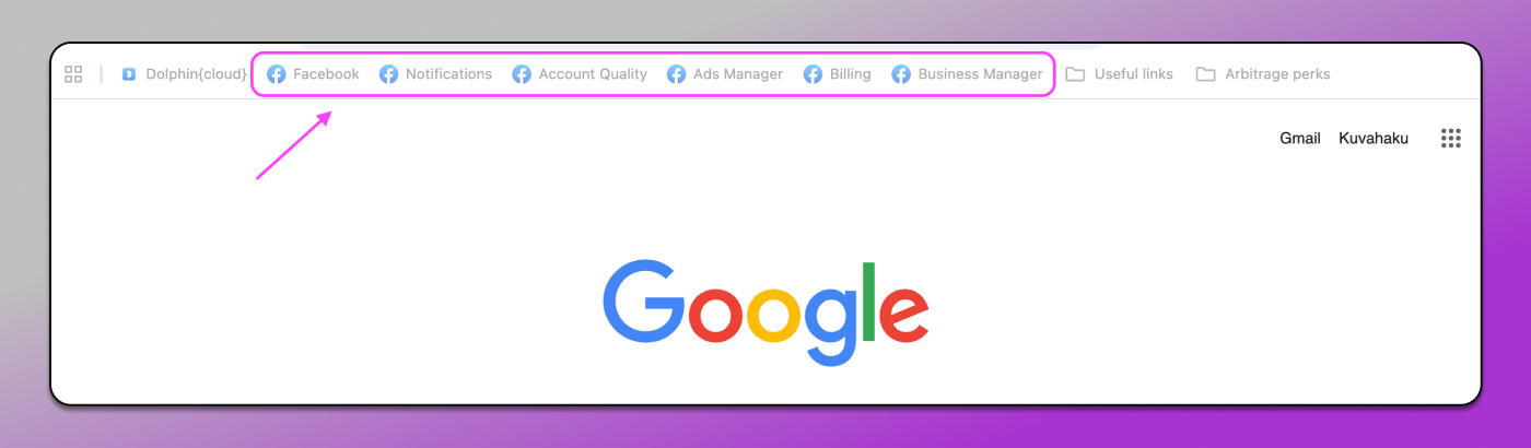 Profile Launch Dolphin Anty